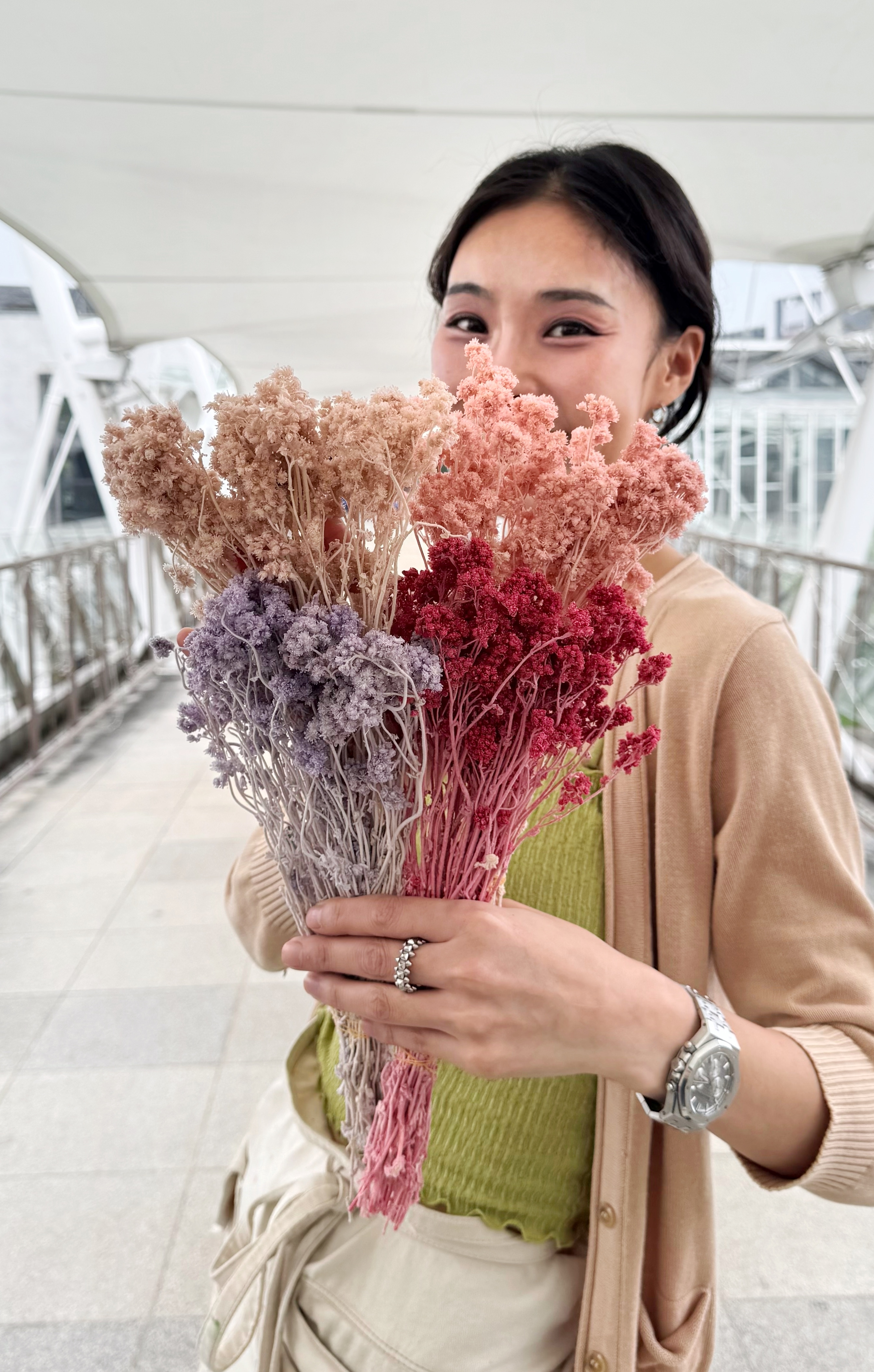 繁星花（日本）