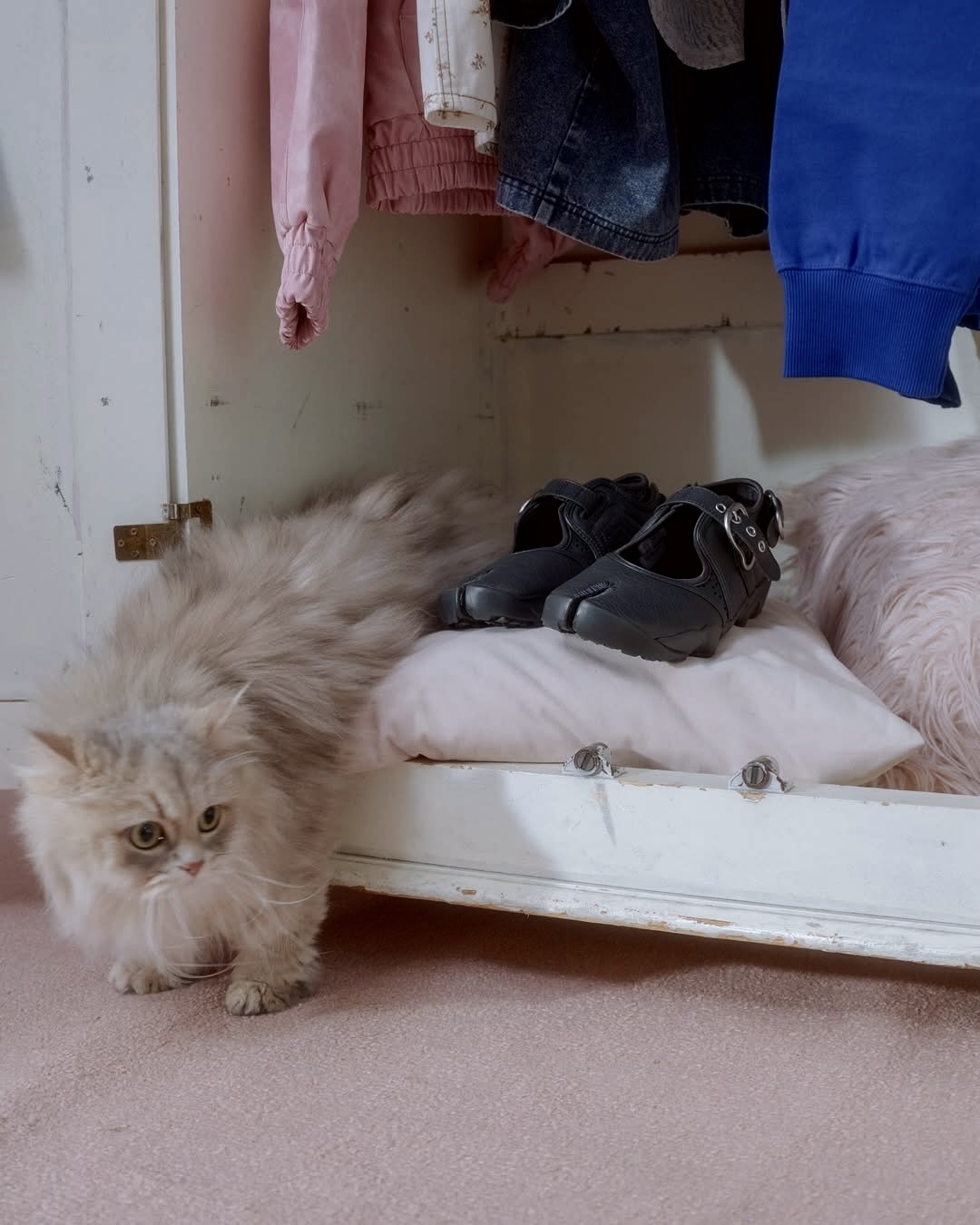 NIKE AIR RIFT LEATHER 炭灰 黑灰 不規則金屬扣 Y2K 忍者鞋 分趾鞋 涼鞋 女鞋 IR5863-060 / 預購