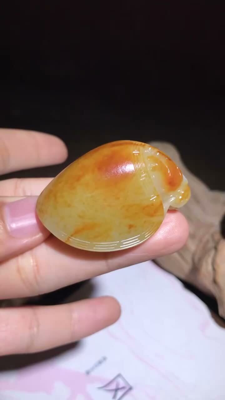 和田玉籽料龍龜,天然和田玉軟玉