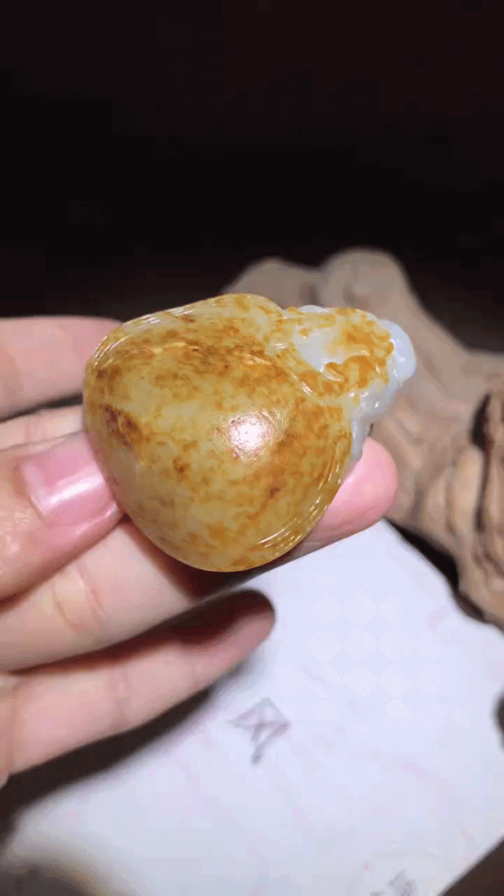 417728 和田玉籽料龍龜