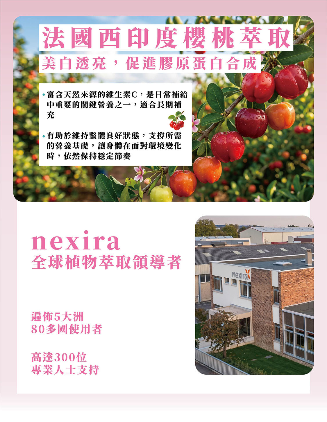 法國西印度櫻桃萃取，自由基的剋星，嚴選大廠-nexira，幫助美白透亮，促進膠原蛋白合成