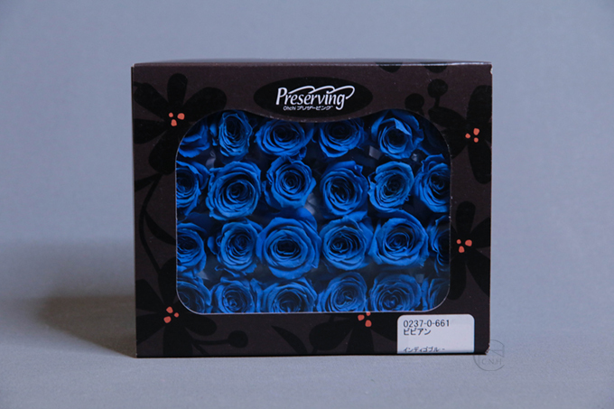 永生花 迷你玫瑰 Vivian 24輪 單色