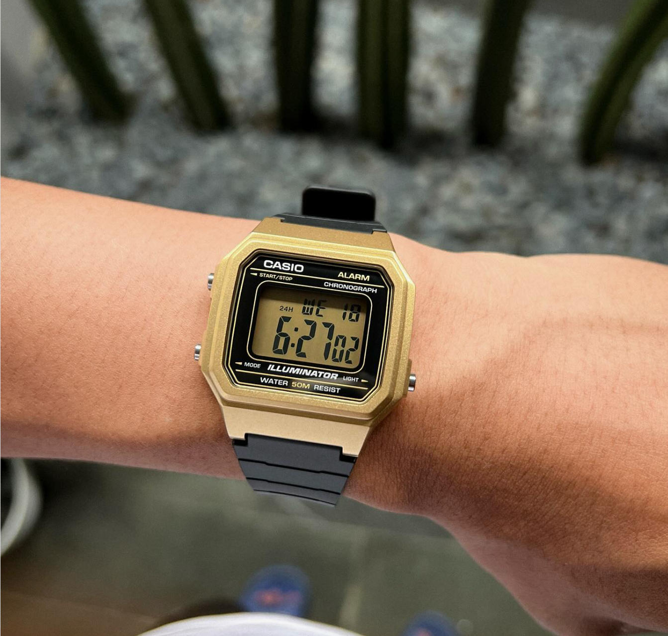 Casio W-217HM-9A