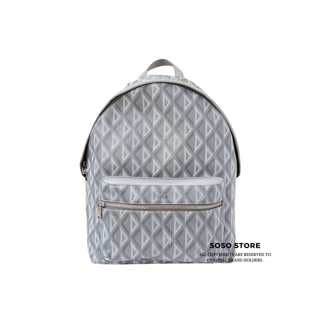 Dior Rider Backpack - Grey / SHW