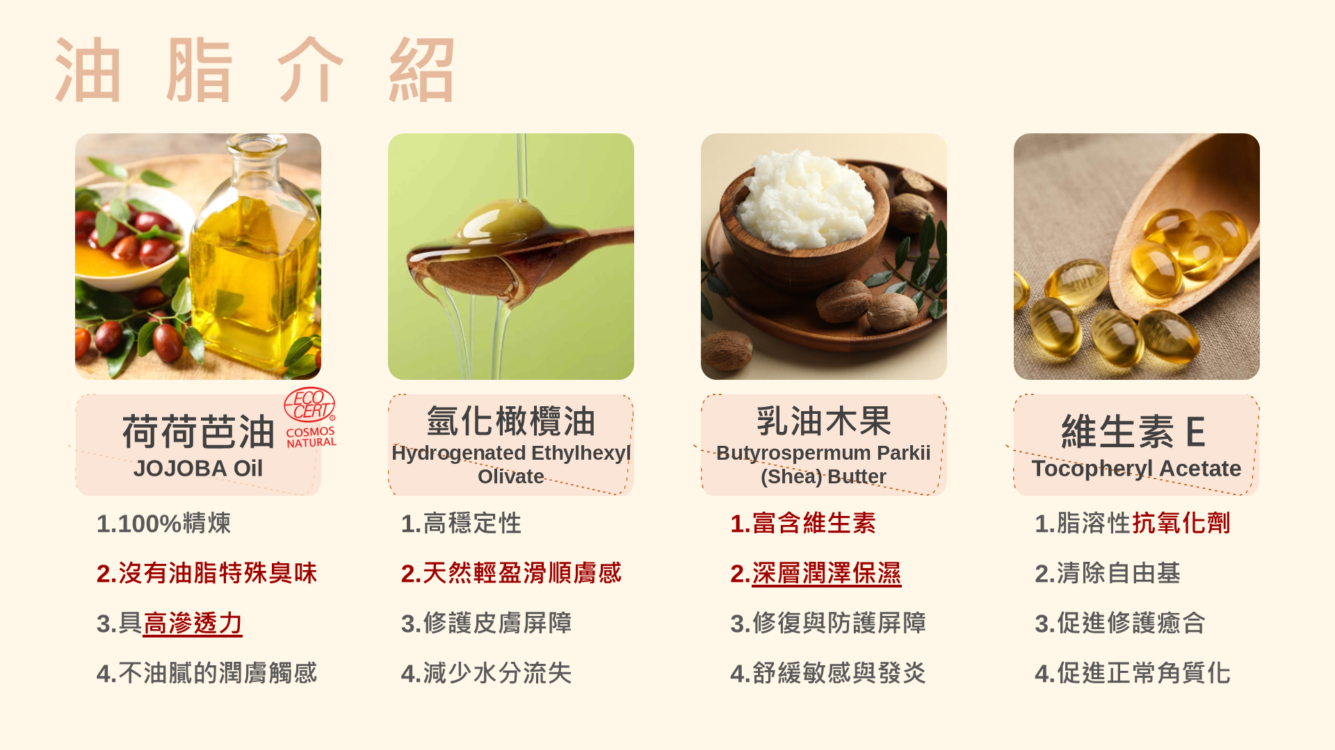 ZHENER 純淨無香護手霜|植萃乳油木果與荷荷芭油滋養