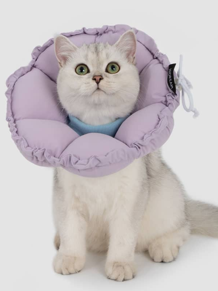 【HiDREAM】雙調節花瓣伊莉莎白｜栗子粉