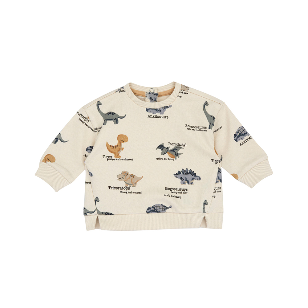 恐龍探險隊-滿版DINO長袖上衣