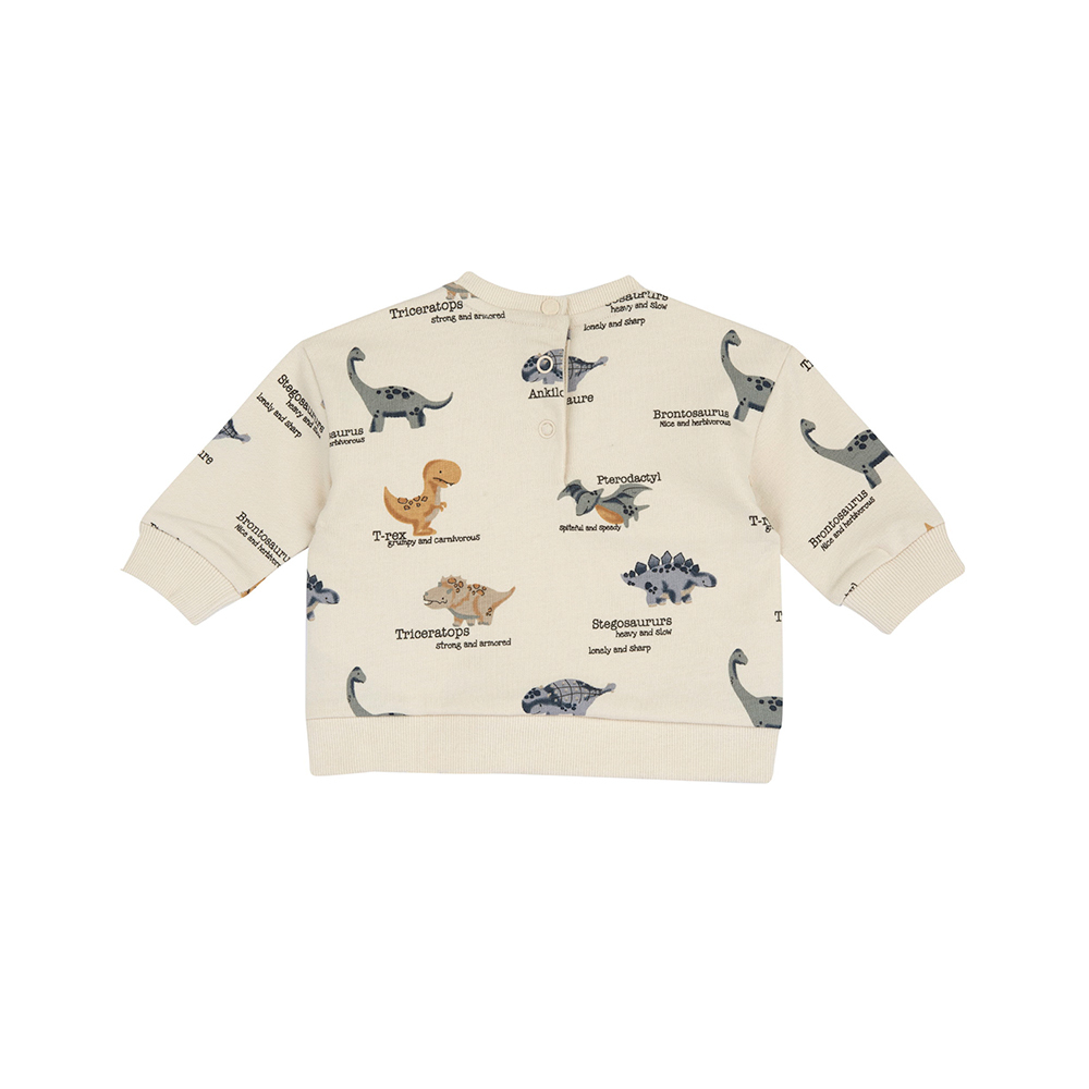 恐龍探險隊-滿版DINO長袖上衣