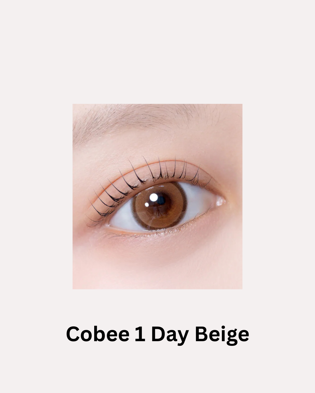 [日拋] FiPN Cobee 1 Day Beige｜日拋彩妝矽水凝膠隱形眼鏡｜每盒10片