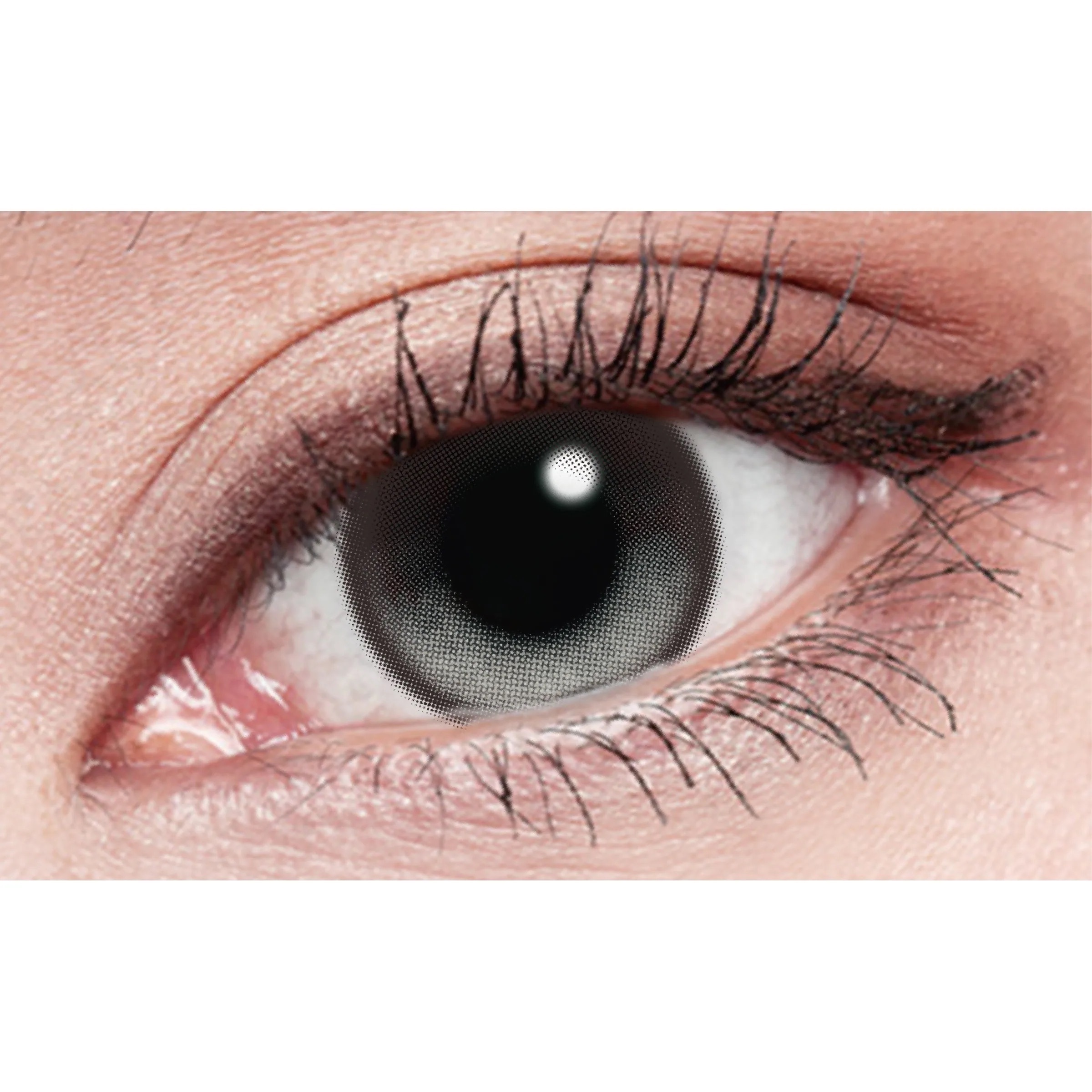 [日拋] LENS++永暘光學 星月日彩系列 Star Moon Gray 星月灰 日拋彩妝隱形眼鏡｜每盒10片