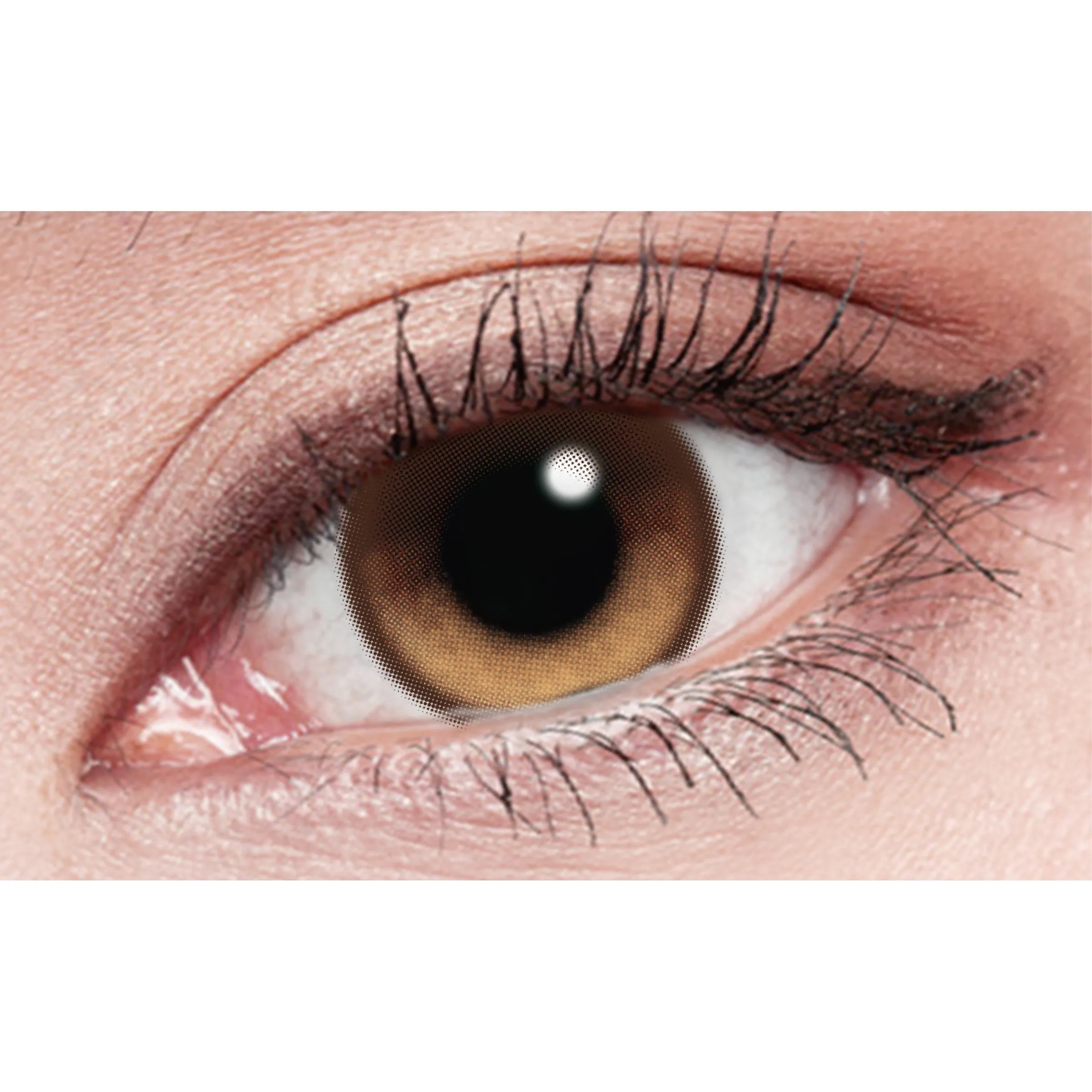 [日拋] LENS++永暘光學 星月日彩系列 Star Moon Brown 星月棕 日拋彩妝隱形眼鏡｜每盒10片