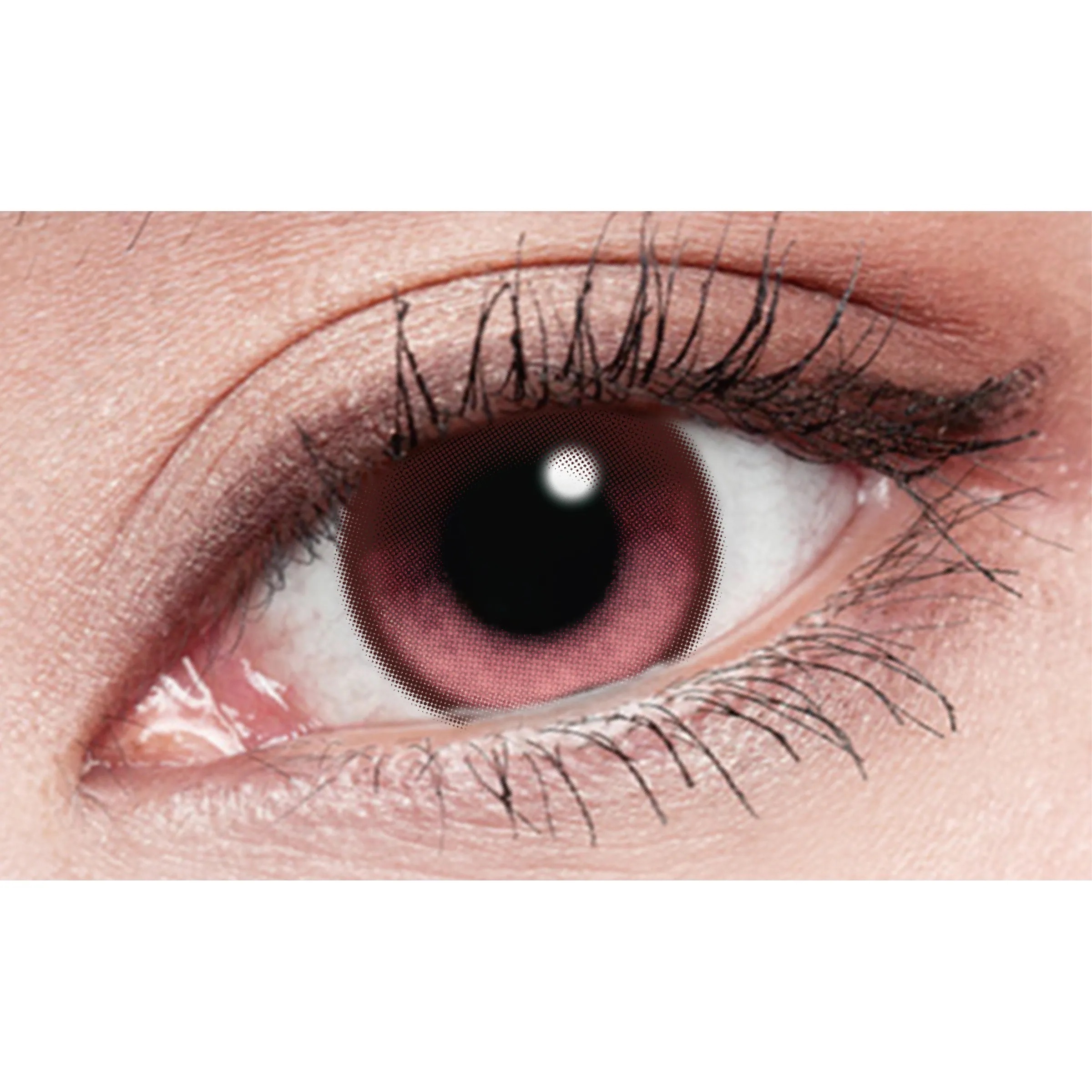 [日拋] LENS++永暘光學 星月日彩系列 Star Moon Pink 星月粉棕日拋彩妝隱形眼鏡｜每盒10片