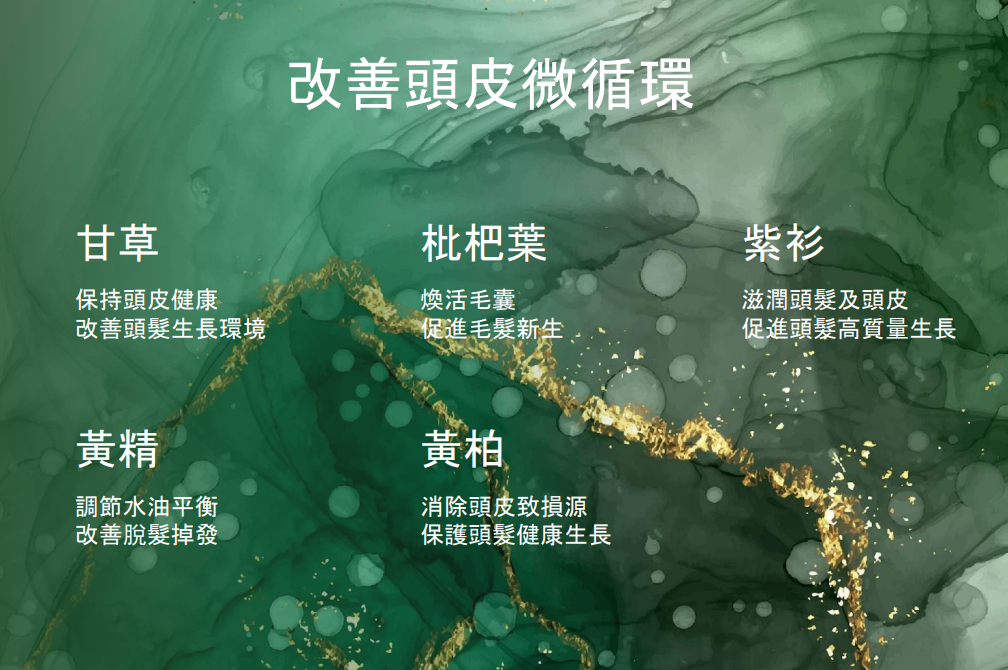 WW260424-Y9-山野愛子生髪洗髪水1000ml/瓶*2支-(EXP-2028年12月) 送 "山野愛子生髪護髪素400ml/支*2支+ 松塔梳+ 矽膠洗頭刷