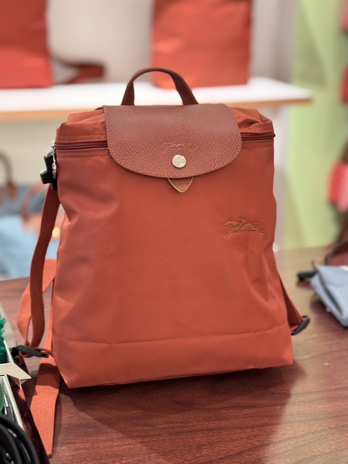 限量接單⚠️停產款｜LONGCHAMP backpack