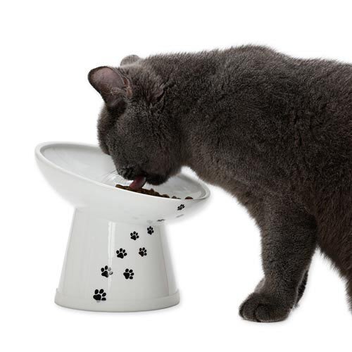 貓壹 Necoichi 寵物碗．貓貓快樂時光 斜淺口食物碗 M