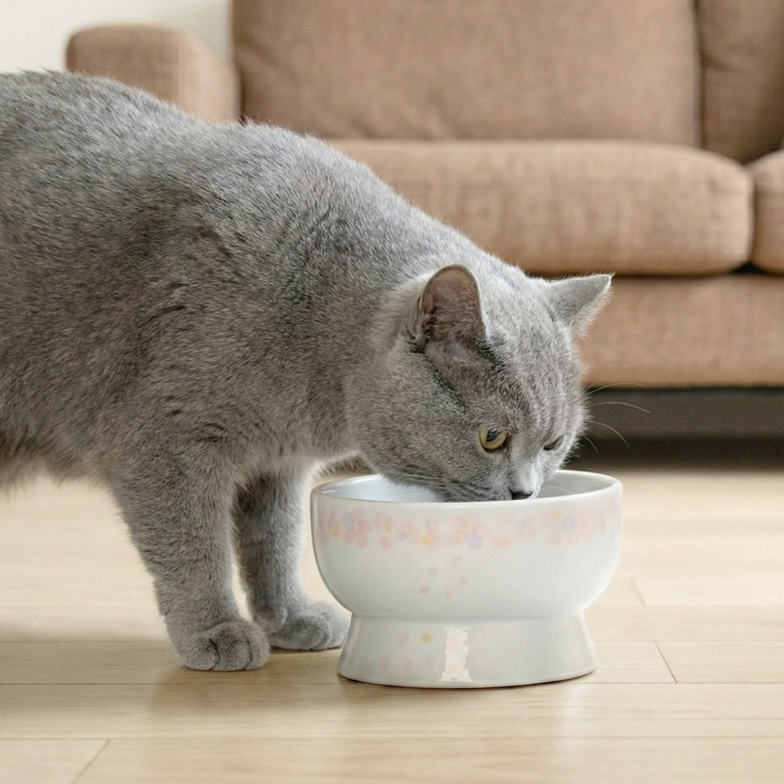 貓壹 Necoichi 寵物碗．2026年櫻花特別版 高腳瓷食物碗