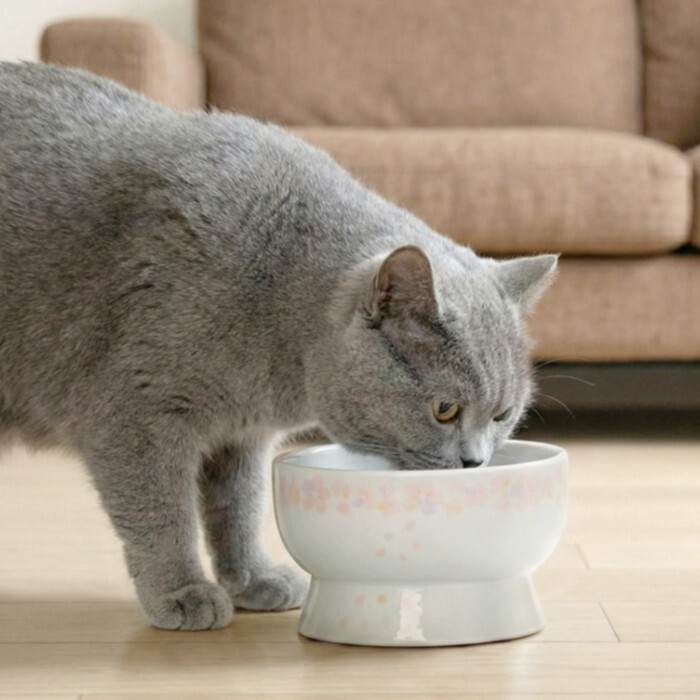 日本直送 貓壹Necoichi 貓貓高腳瓷水碗 - 櫻花特別版(2026年)