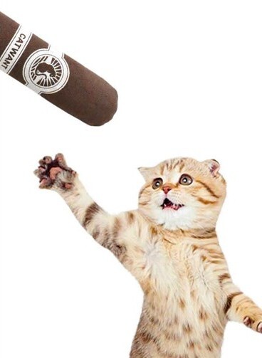 Catwant 貓玩具．貓薄荷帆布雪茄