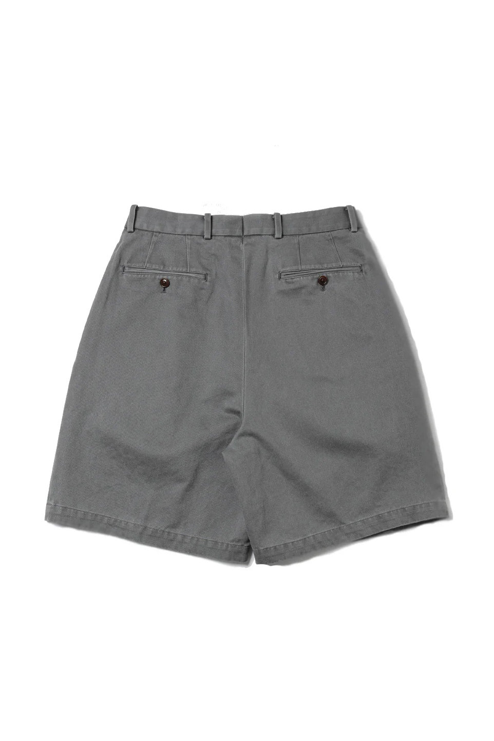 NEAT CHINO SHORTS (2COL)