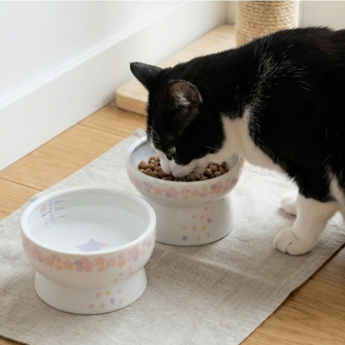 日本直送 貓壹Necoichi 貓貓高腳瓷食碗 - 櫻花特別版(2026年)