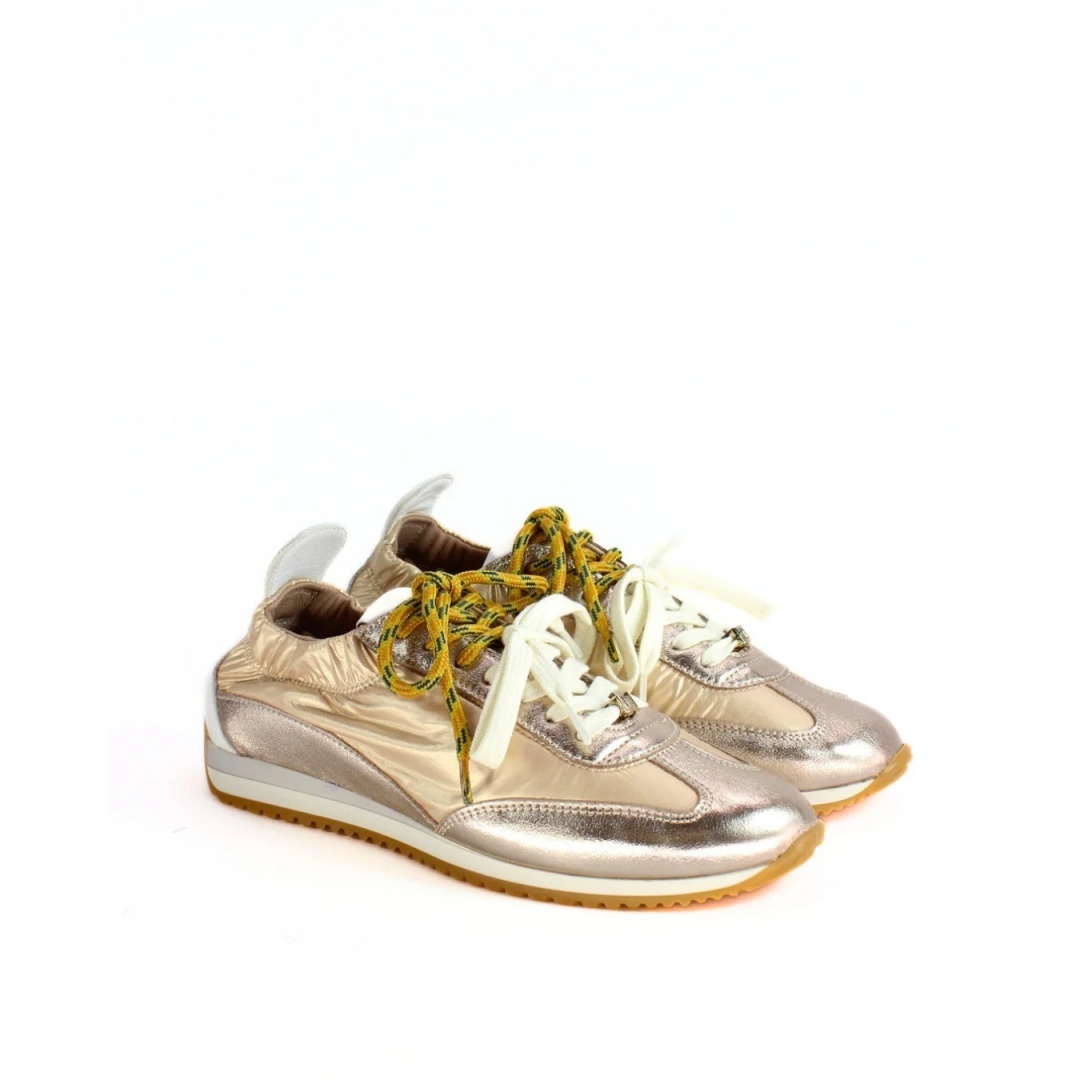 FRA-CCG0425-332 Var S-211 - GIOTTO PLATINO - MICROVEL ORO - F.DO DM GRI-BIA-AMB (721 DM / 131) (P款) (35-42)