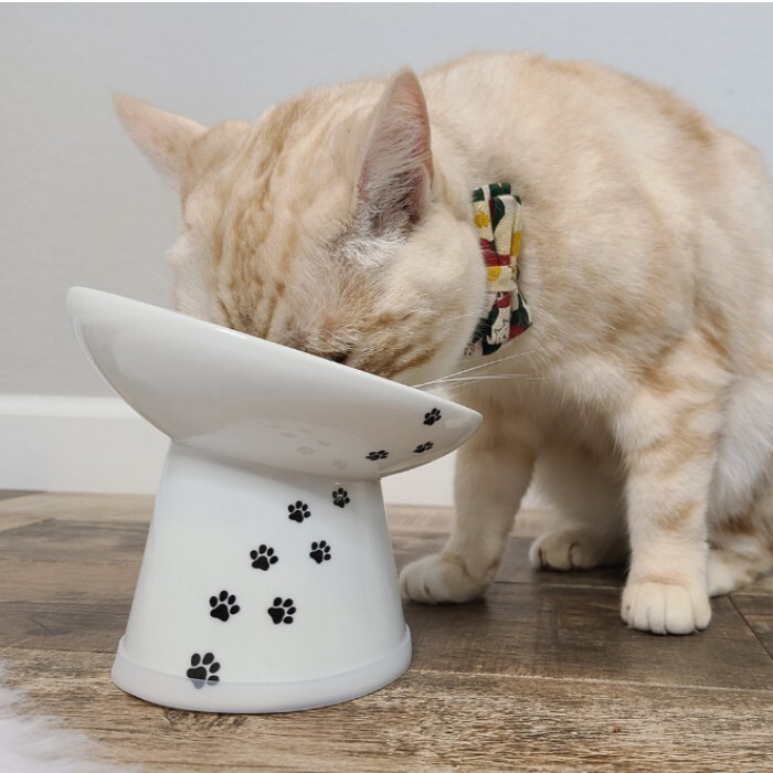 日本直送 貓壹Necoichi 貓貓快樂食光 - 斜淺口食碗M