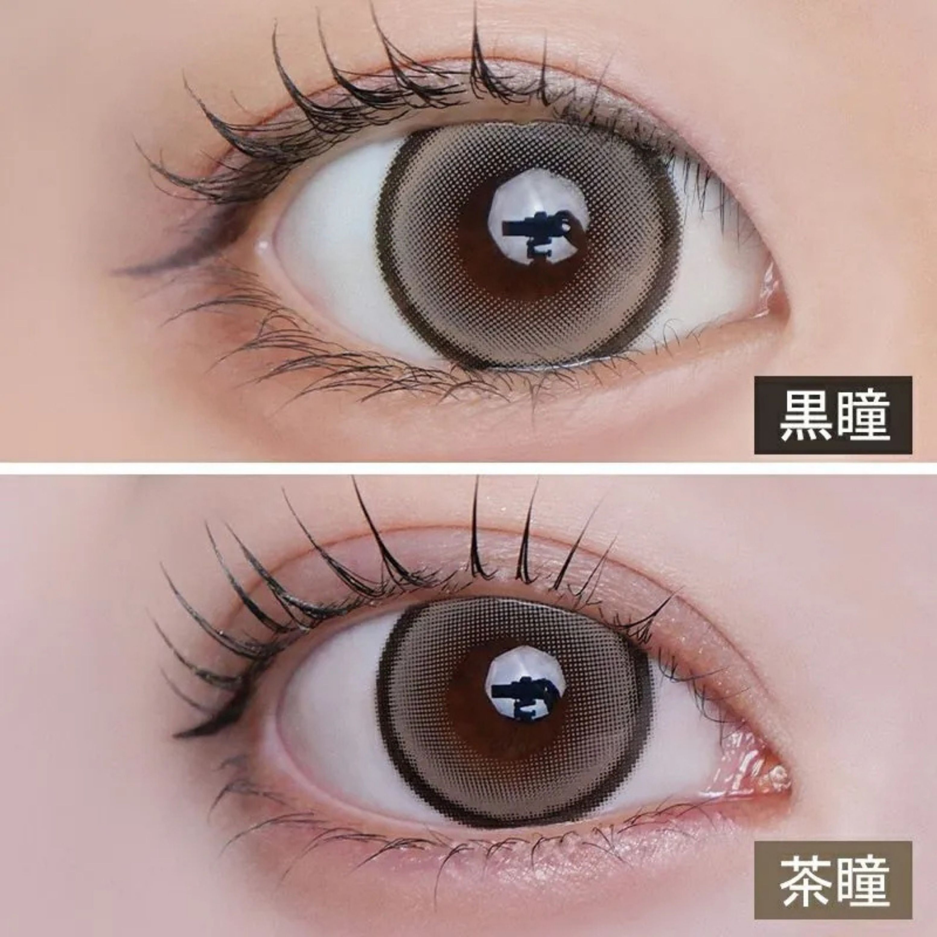 Larme 1 Day (Big Addictea Beige) (10P)