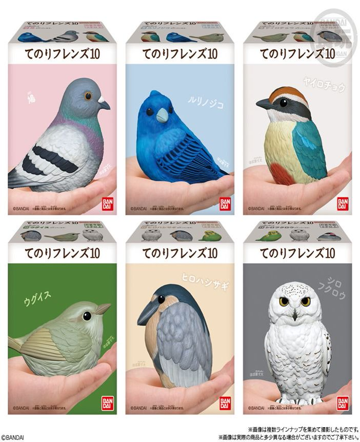 Palm Animal Series Vol. 10 (REPEAT) - BOX of 12