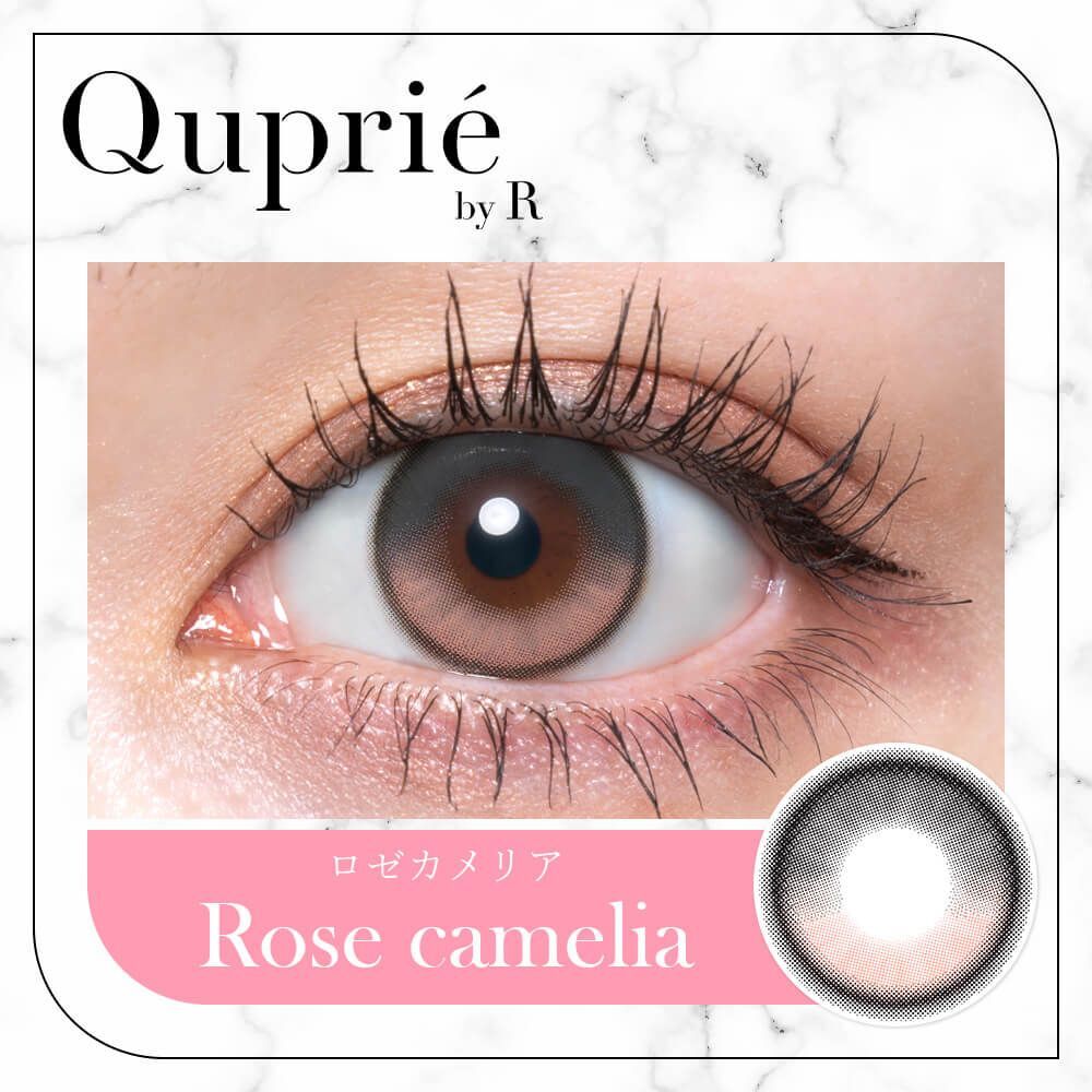 Quprie 1 Day (Rose Camellia) (10P)