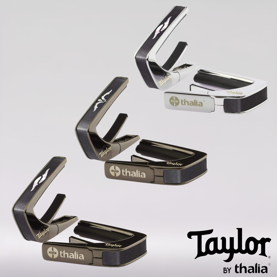 Thalia Taylor Capos 移調夾 聯名系列