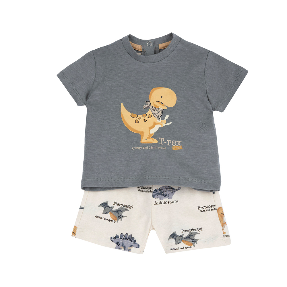 恐龍探險隊-暴龍+滿版短褲短袖套裝 C