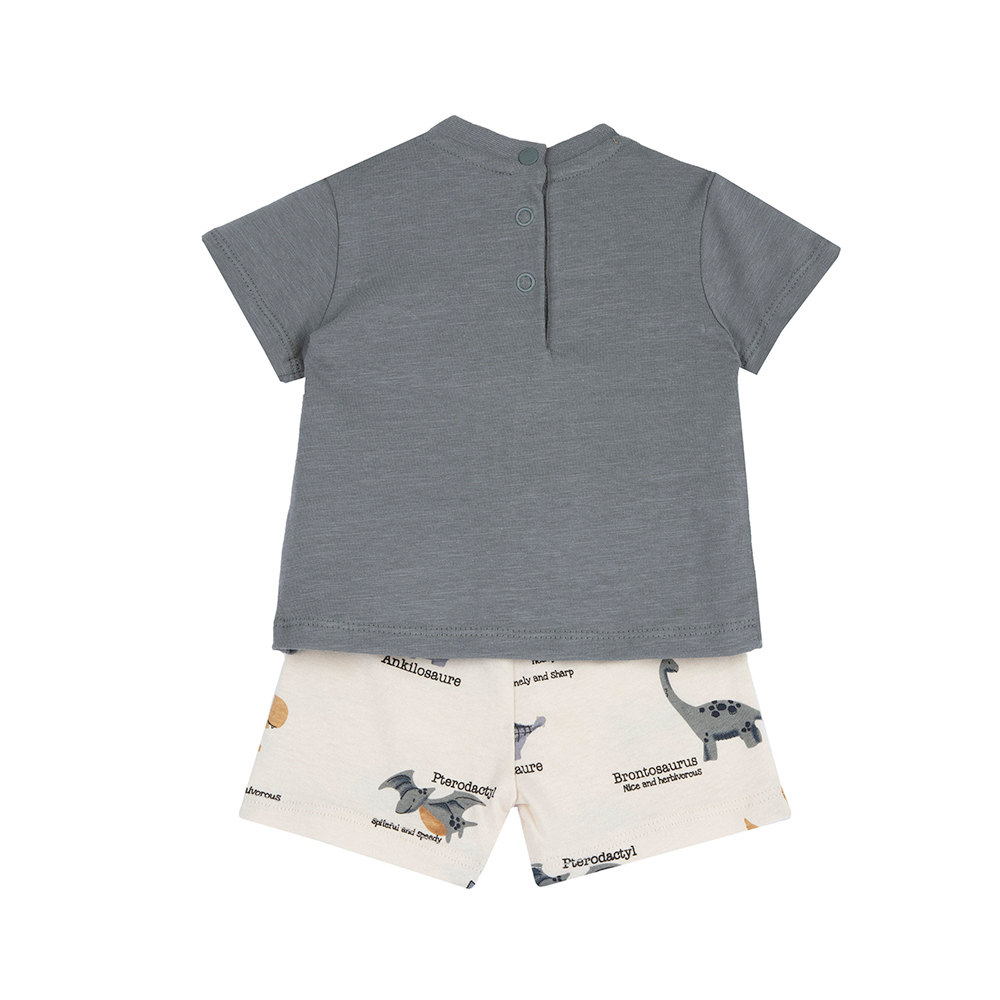 恐龍探險隊-暴龍+滿版短褲短袖套裝 C
