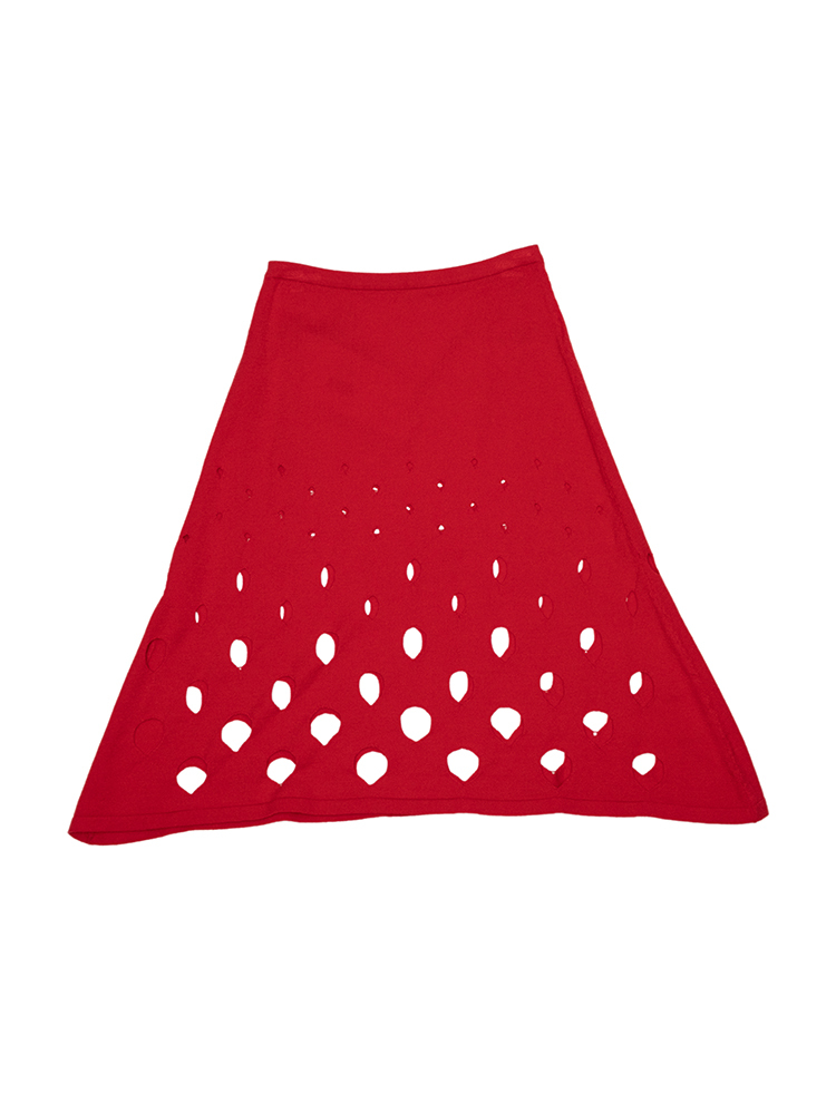 Aros Skirt