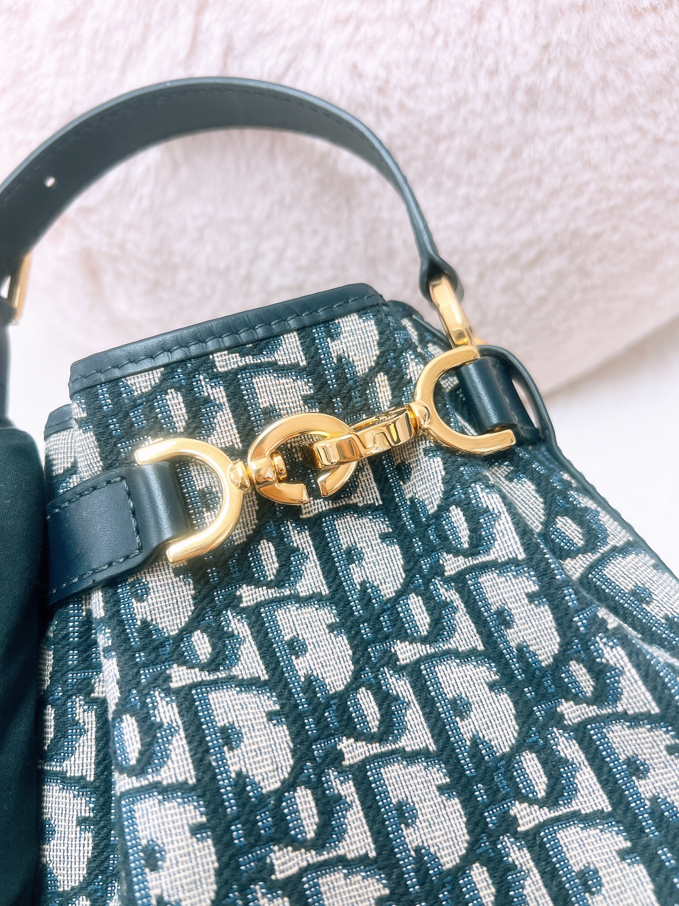 Dior c’est bucket small blue oblique