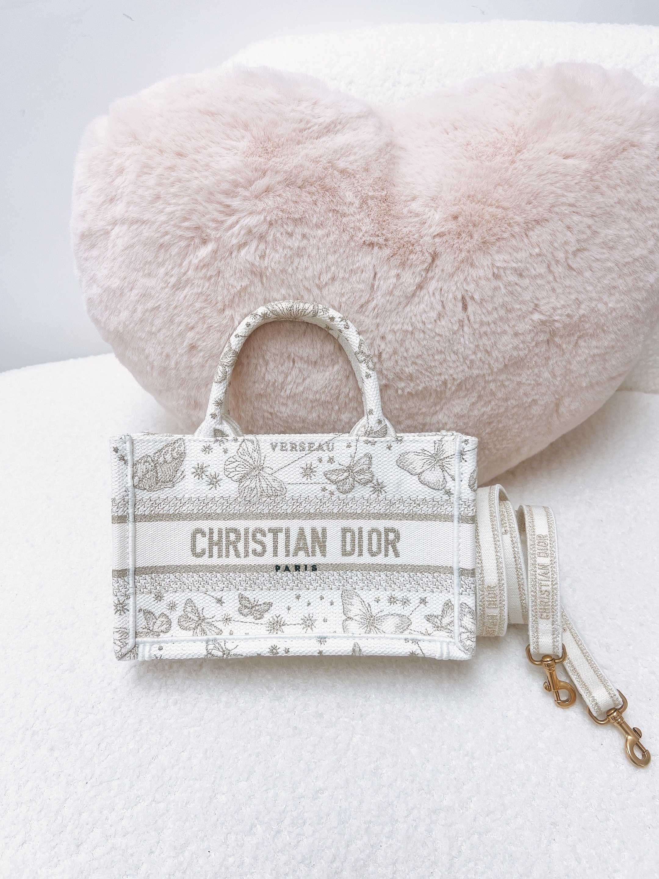 Dior book tote mini butterfly zodiac