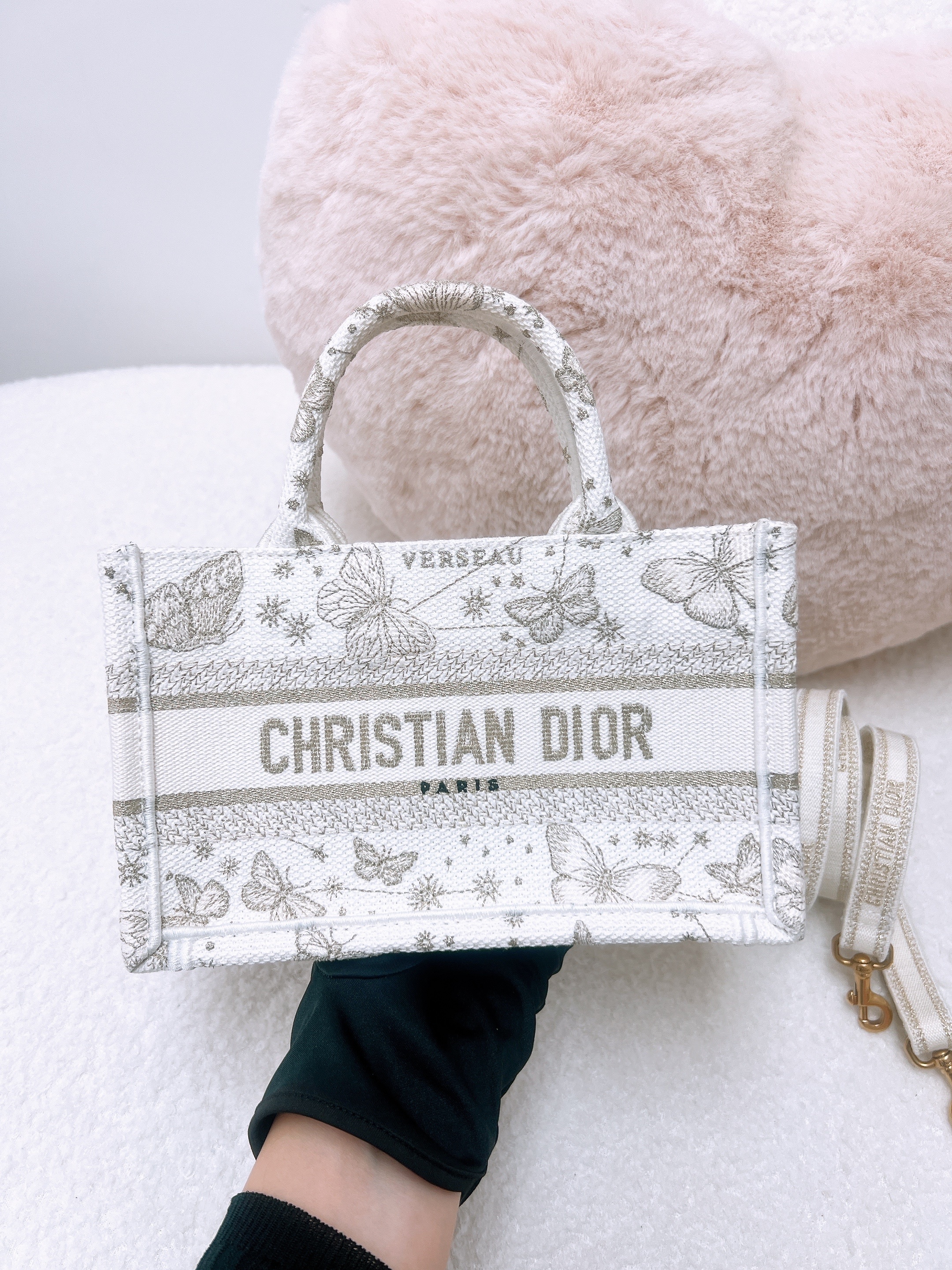 Dior book tote mini butterfly zodiac