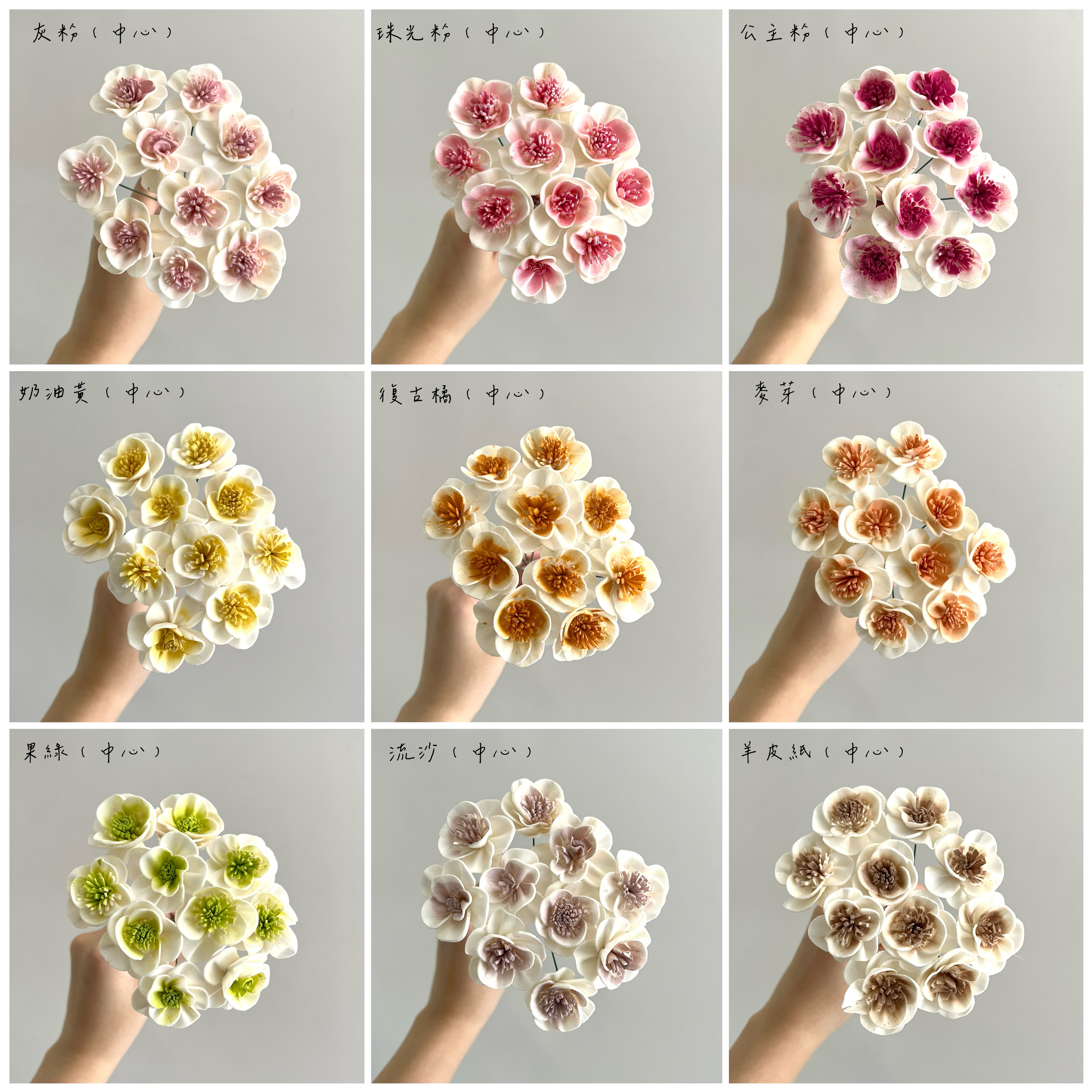 越南索拉花 白頭翁 3CM<十支一把>