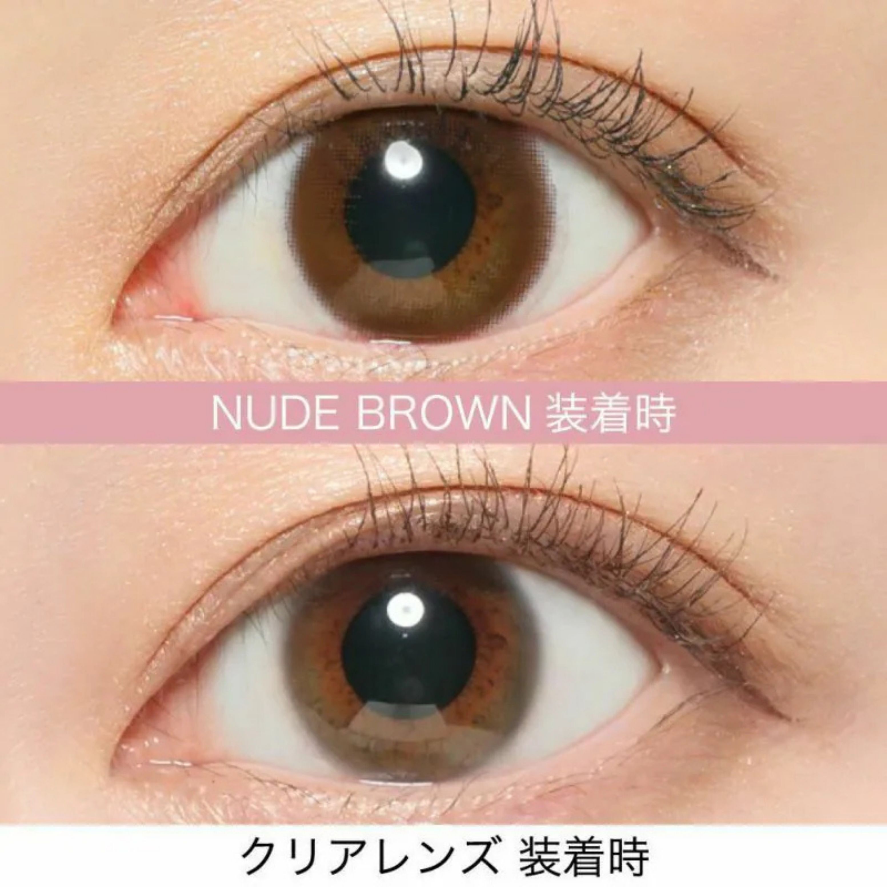 (減價) Revia 1 day (Nude Brown)(10片)
