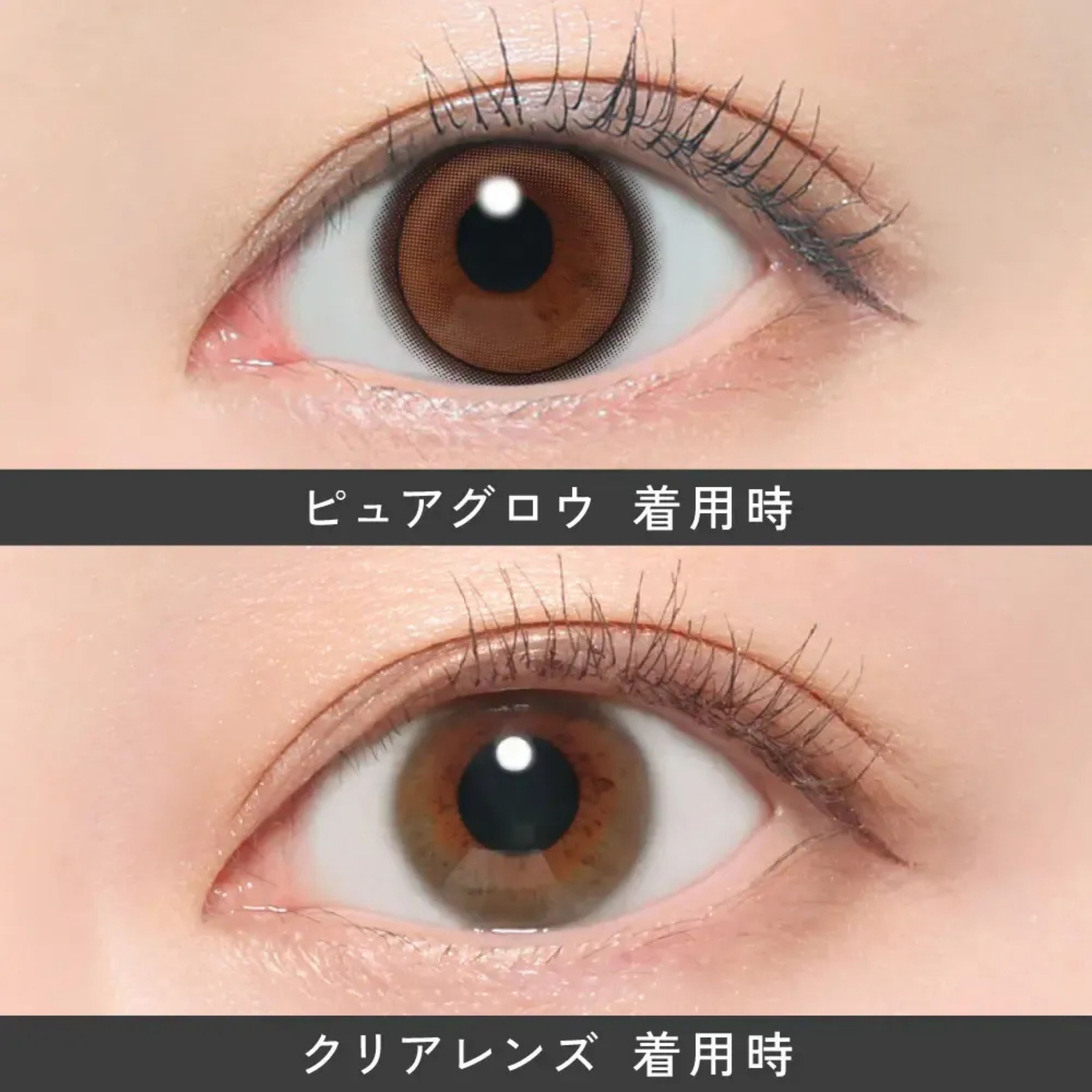 (減價) Revia 1 day (Pure Glow)(10片)