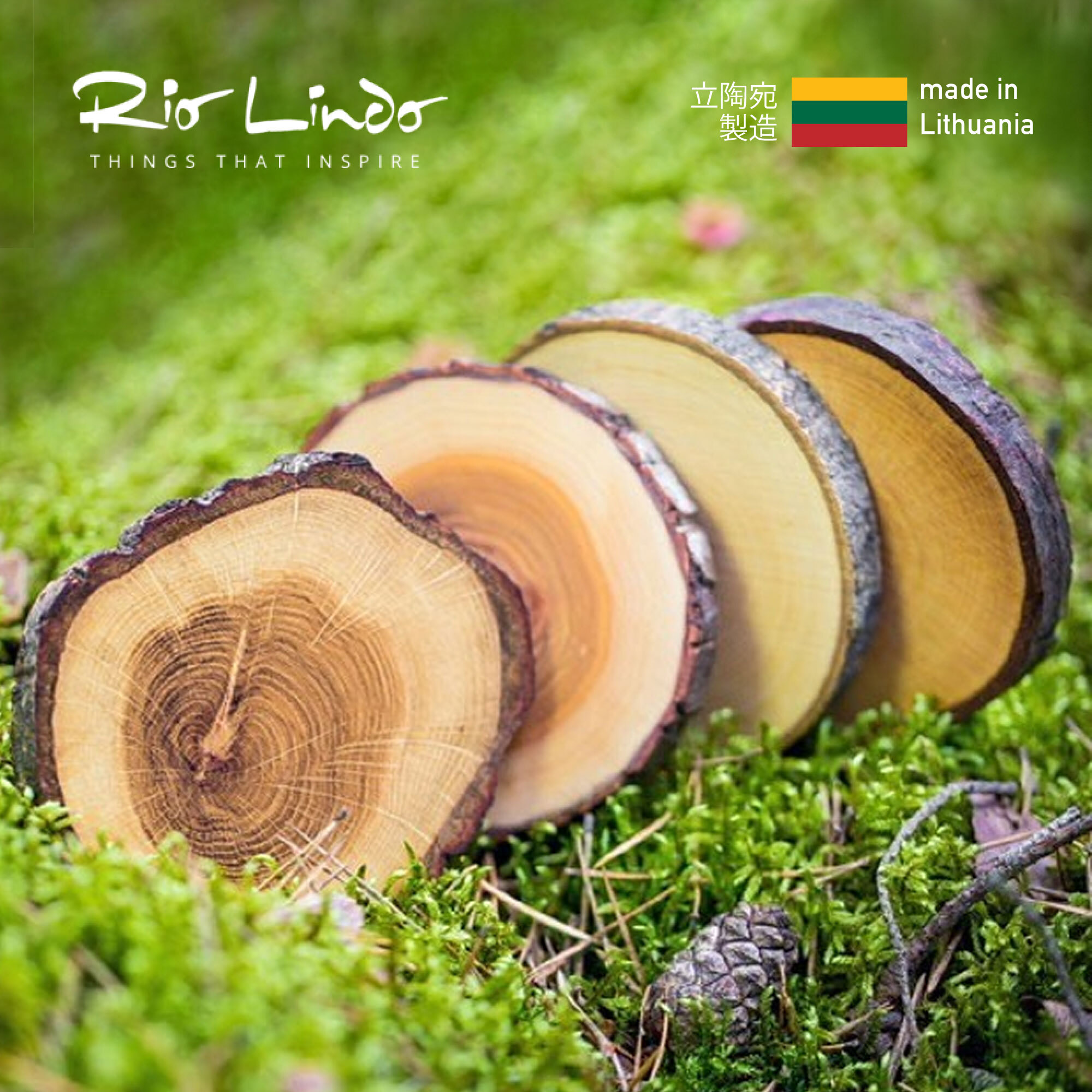 Rio Lindo - TREE 4 TEA wooden cup pads