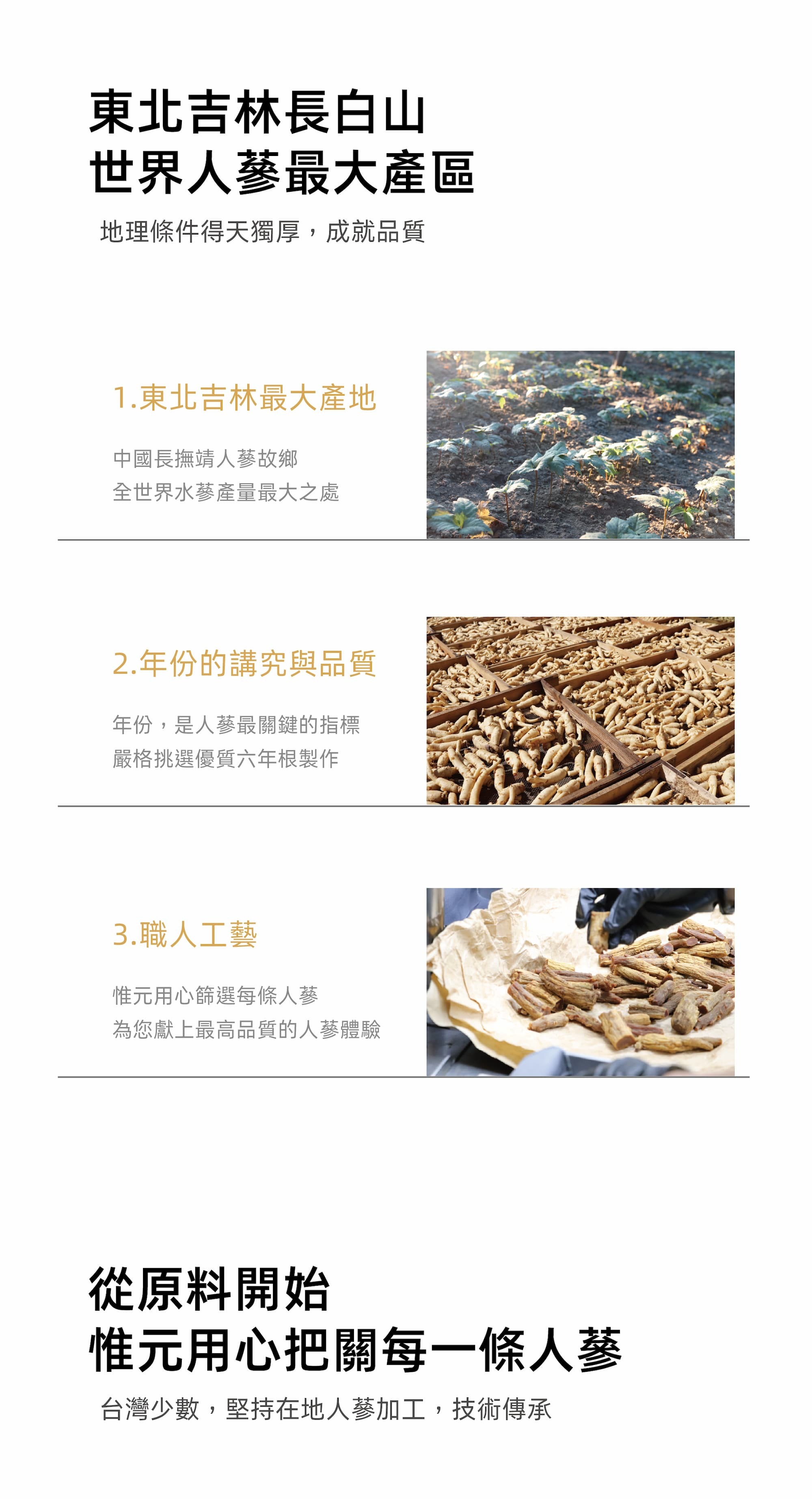 北人參原料特點