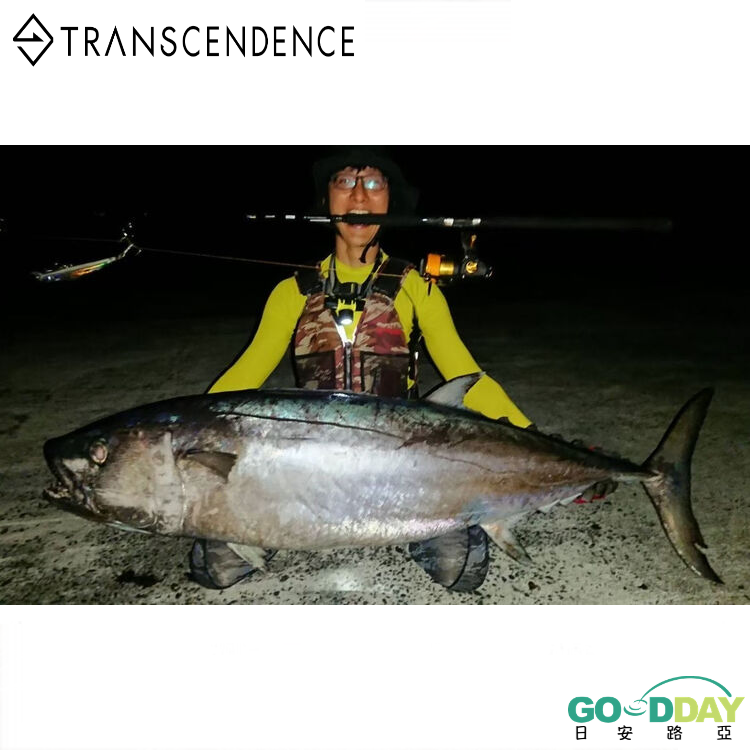 TRANSCENDENCE SHORE R94S