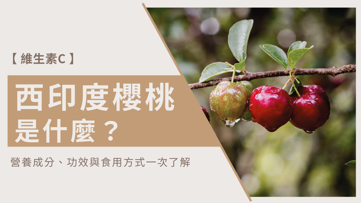 西印度櫻桃是什麼