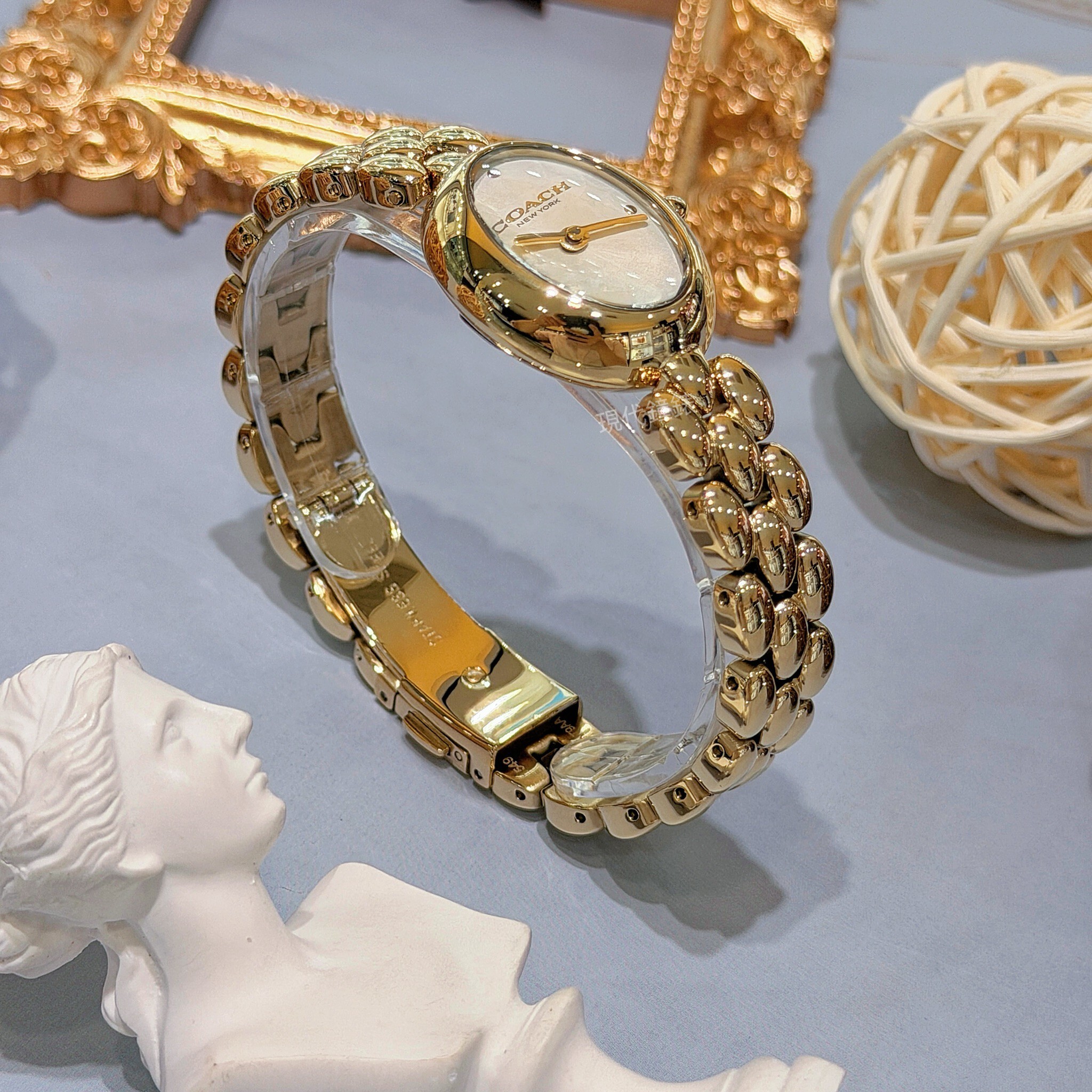 【COACH】CO14504417 22mm Modern Watch