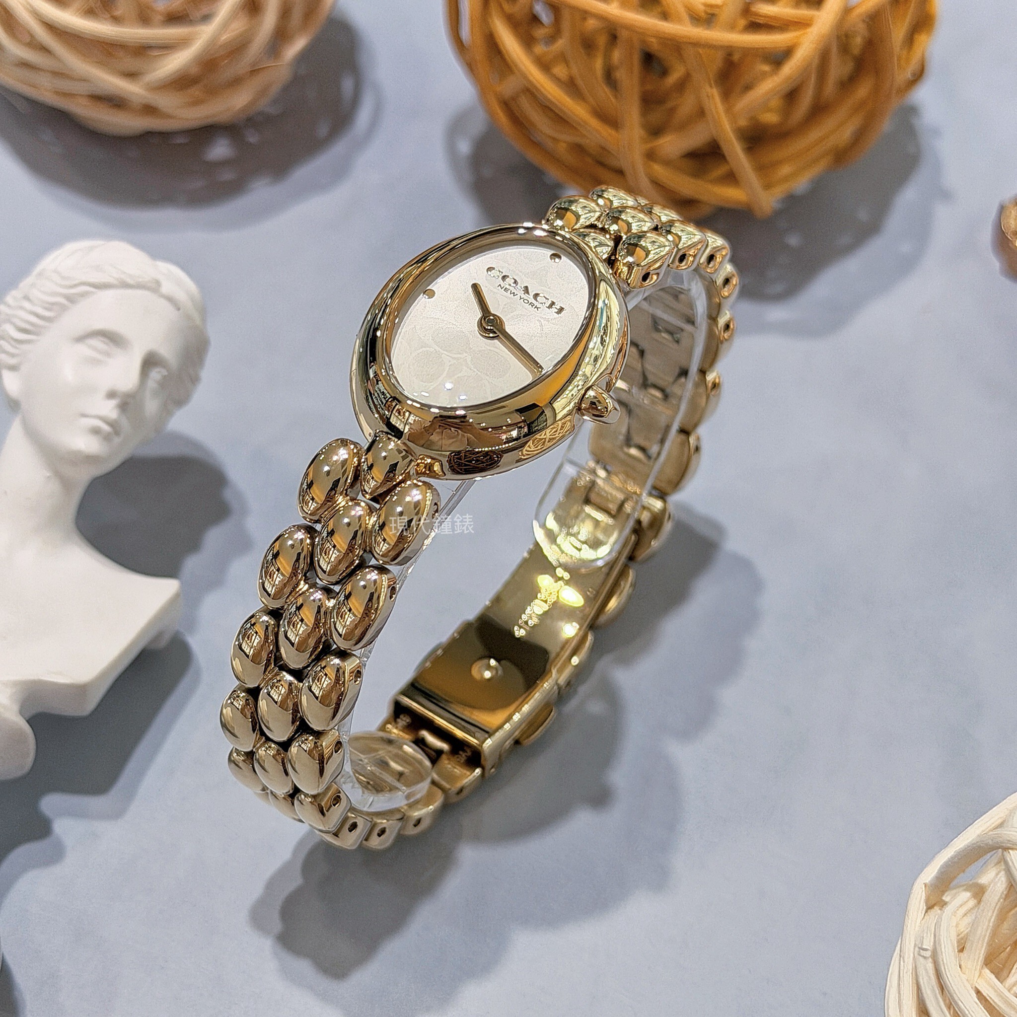 【COACH】CO14504417 22mm Modern Watch