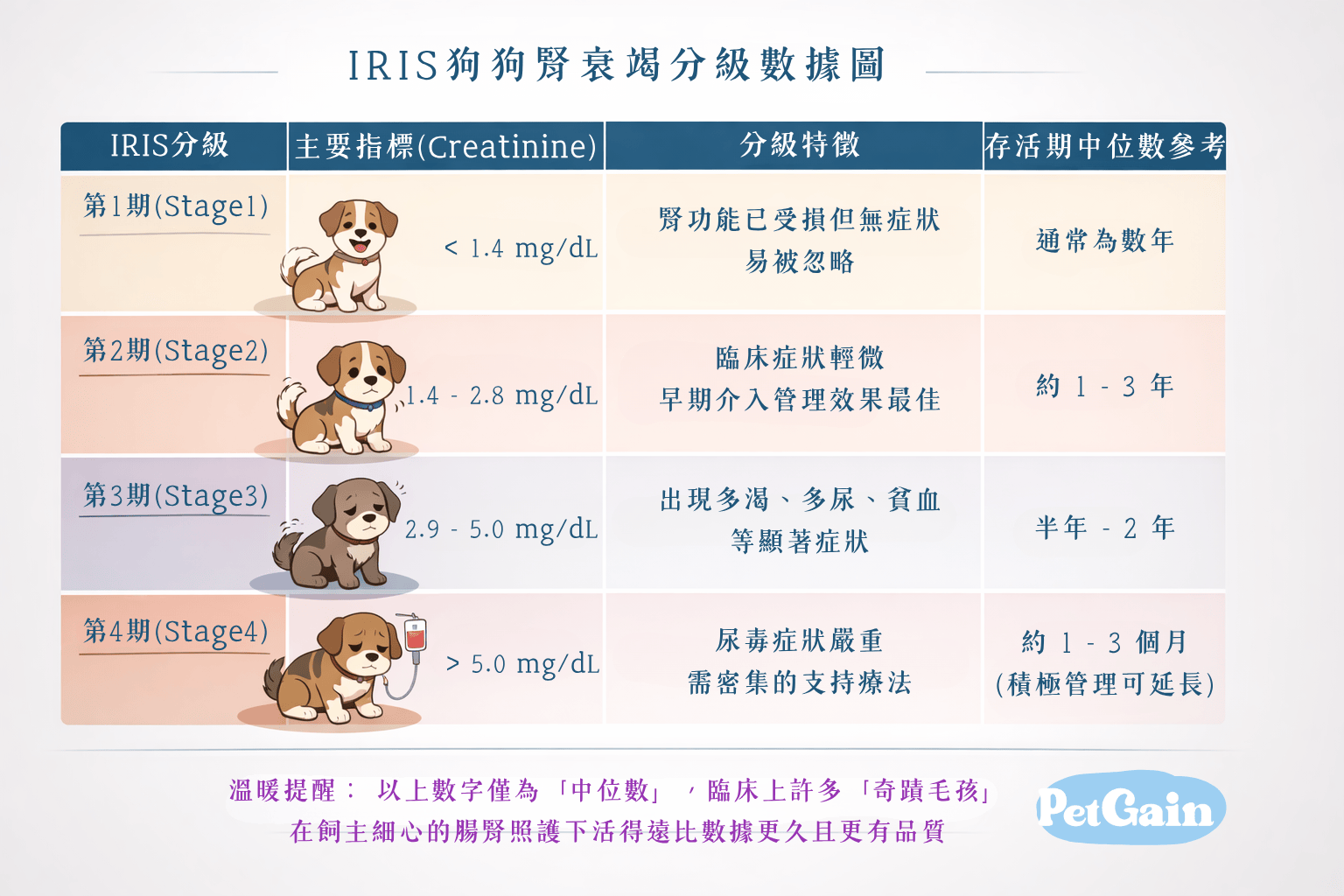 預測狗狗腎衰竭可以活多久，看懂分級真相