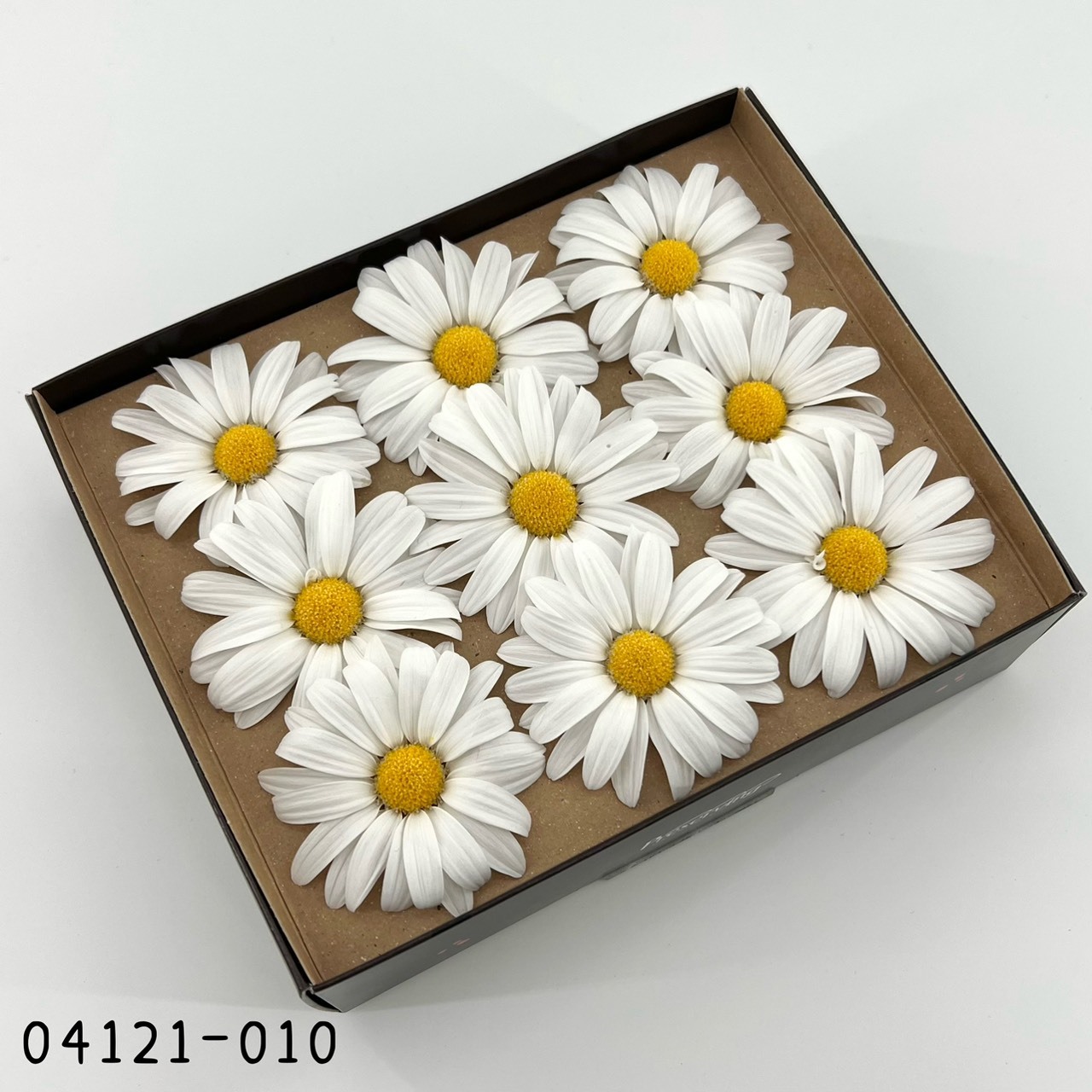 日本不凋瑪格麗特(9輪)04121-010