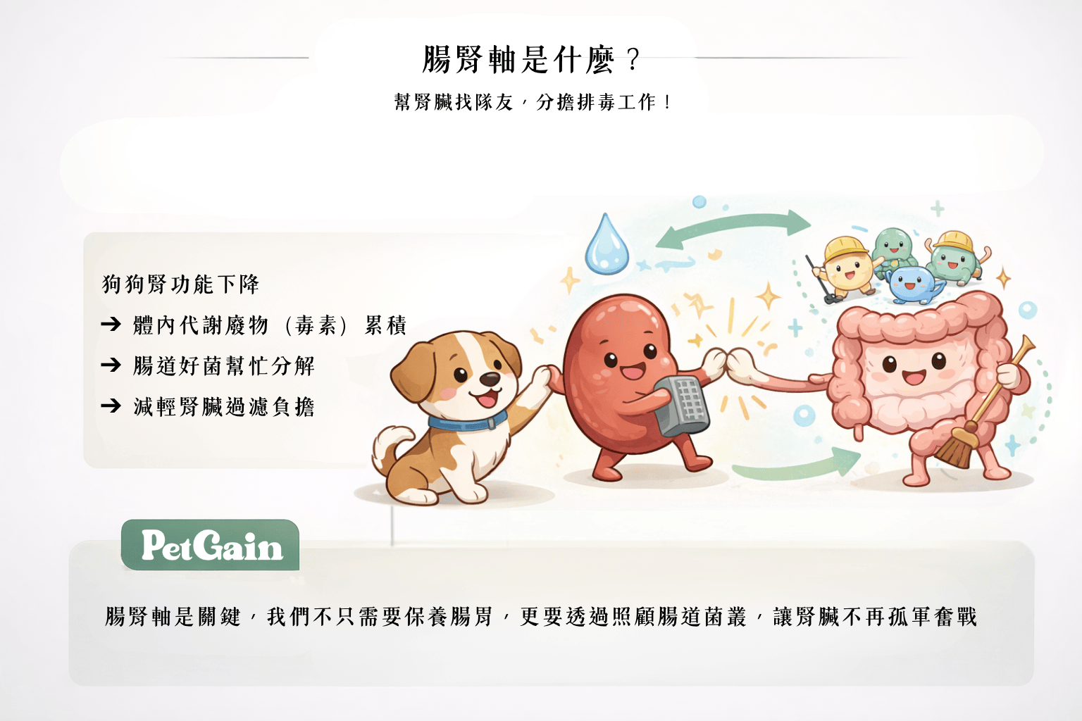 掌握腸腎軸照護，是決定狗狗腎衰竭可以活多久的關鍵