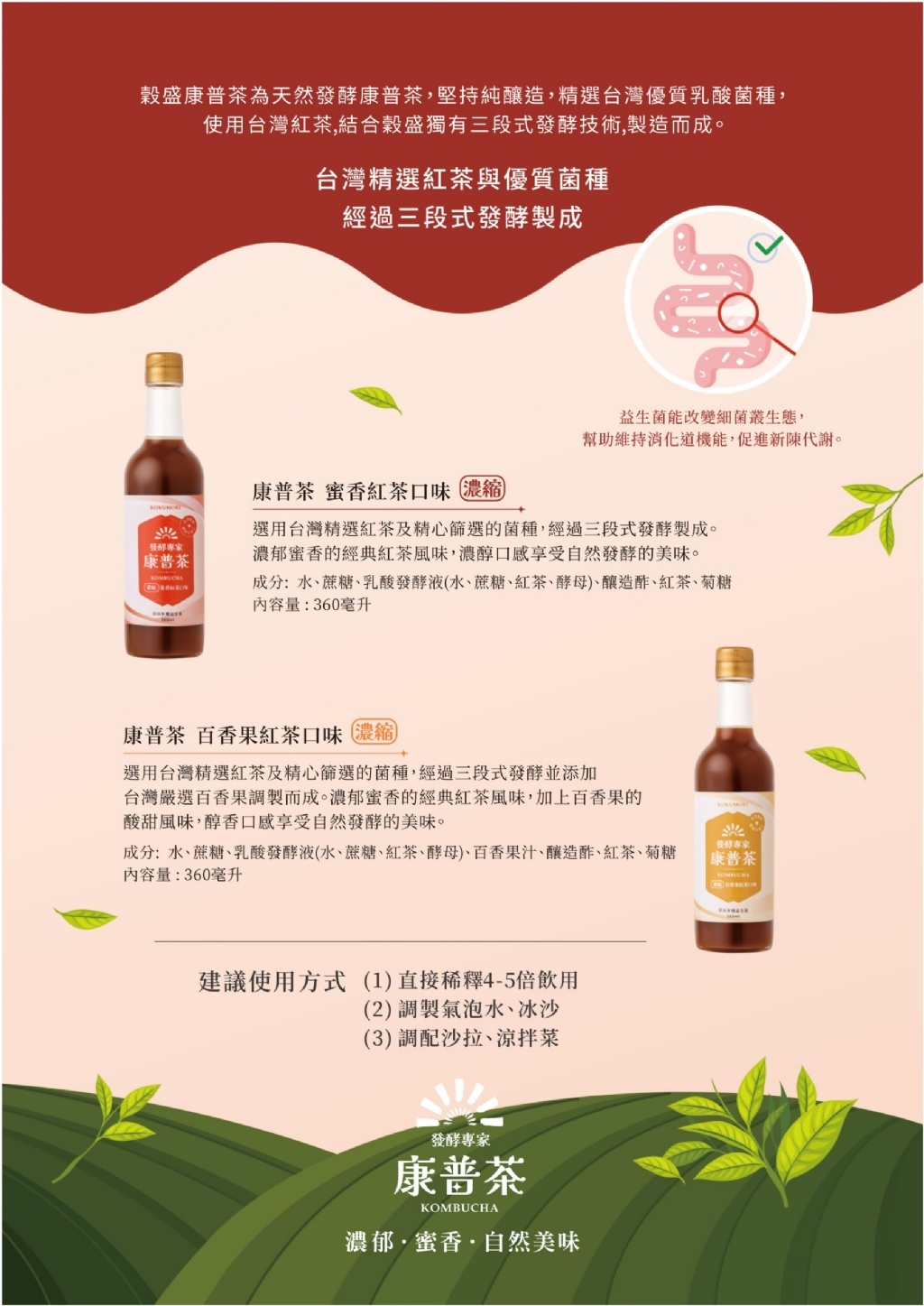 WSBB11352  穀盛 濃縮康普茶系列 360ml （7月上旬）
