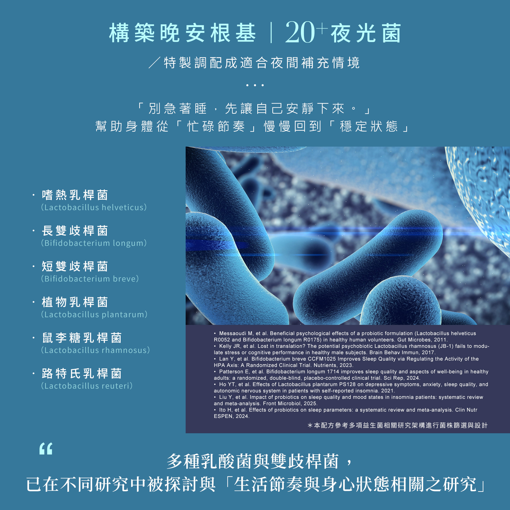構築晚安根基，精選20株適合夜間補充的多元夜光菌，包含嗜熱乳桿菌與長雙歧桿菌等。參考多項研究架構篩選菌株，幫助身體從忙碌節奏慢慢回到穩定狀態。別急著睡，先讓自己安靜下來，打造順應作息的平衡系統。